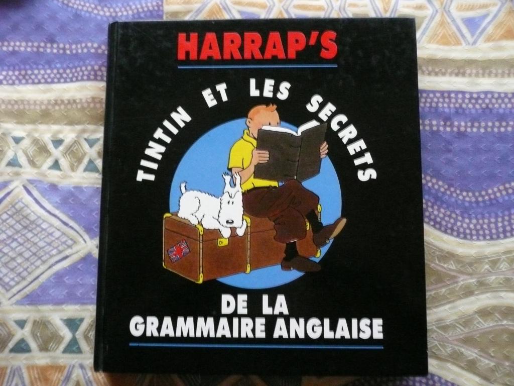 TINTIN "HARRAP'S" 2 DICTIONNAIRES ILLUSTRE E 1992, Plusieurs BD, Enlèvement ou Envoi, Harrap's Edition, Utilisé