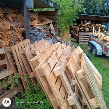 Houten paletten beschikbaar voor biedingen