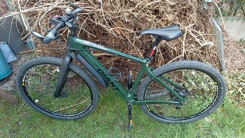Giant Carbone, Fietsen en Brommers, Fietsen | Mountainbikes en ATB, Giant, Ophalen