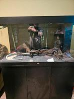 Aquarium juwel Rio 350L als nieuw, Dieren en Toebehoren, Ophalen, Zo goed als nieuw