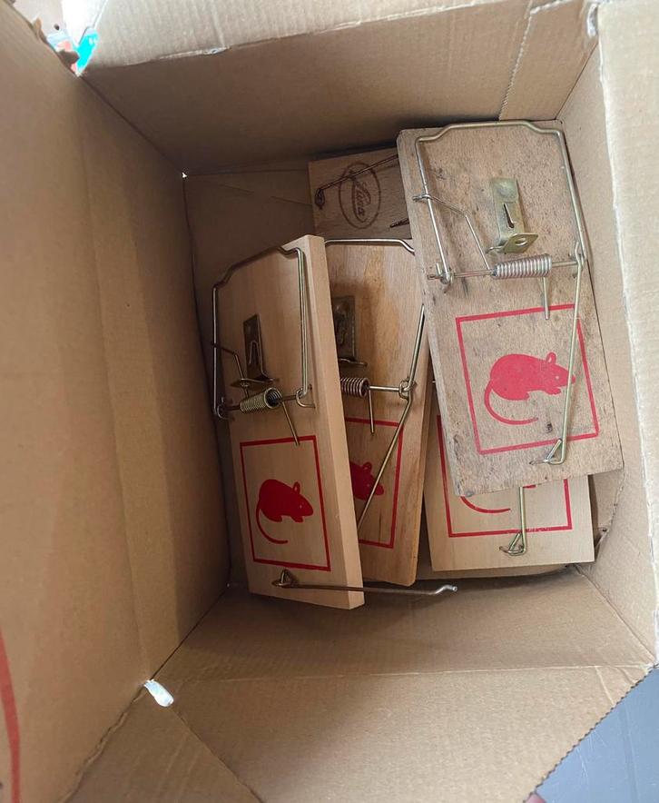 Attrape-rats : presque tous neufs, Jardin & Terrasse, Pesticides, Enlèvement