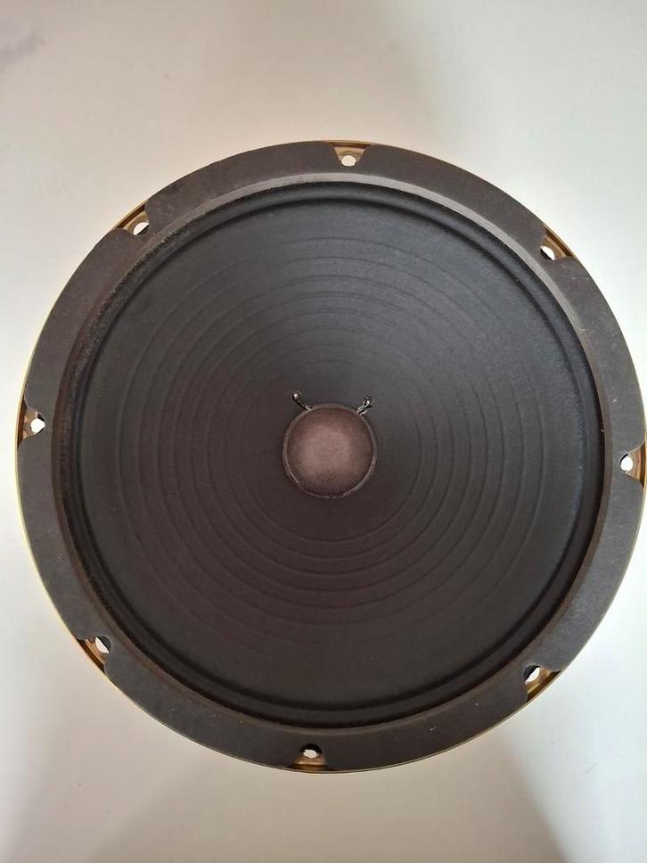 Oxford speaker 10", Muziek en Instrumenten, Instrumenten | Onderdelen, Ophalen