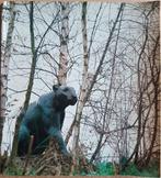 Animaliers - Sculptures / Tableaux / Laques - Enghien 1980, Enlèvement ou Envoi, Comme neuf