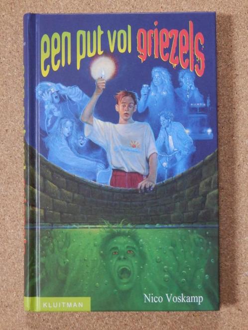 Een put vol griezels - Nico Voskamp, Boeken, Kinderboeken | Jeugd | 10 tot 12 jaar, Gelezen, Fictie, Ophalen of Verzenden