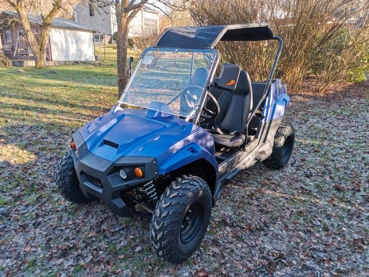 buggy gator Wextreme UTV-ATV200 pro benzine 13pk 2024 Nie, Motos, Motos Autre, 12 à 35 kW, 1 cylindre, Enlèvement