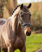 4 jarige For forrero x ferdeaux merrie, Dieren en Toebehoren, Ophalen
