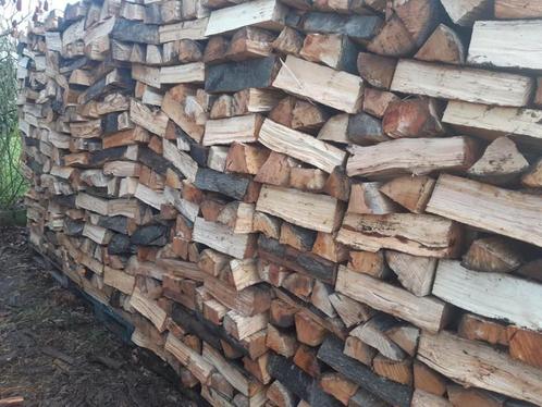 Brandhout te koop beuk,eik,es en populier, Tuin en Terras, Brandhout, Blokken, 6 m³ of meer, Ophalen