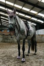 Halve stal gezocht voor lieve Ruin, Animaux & Accessoires, Chevaux, Hongre