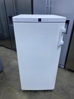 Diepvriser Liebherr A+ met GARANTIE, Elektronische apparatuur, Vriezers en Diepvrieskisten, Ophalen of Verzenden, Zo goed als nieuw