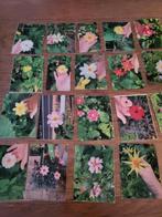 Dahlia zaden verschillende soorten, Ophalen of Verzenden, Voorjaar, Volle zon, Zaad