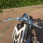 Cobra H-D echt een eigenbouw, (geen verbouwing), 2 cilinders, 1600 cc, Chopper, Particulier