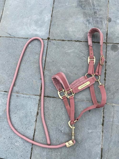 ️Veel paardenspullen️, Dieren en Toebehoren, Paarden en Pony's | Hoofdstellen en Tuigage, Zo goed als nieuw, Ophalen of Verzenden