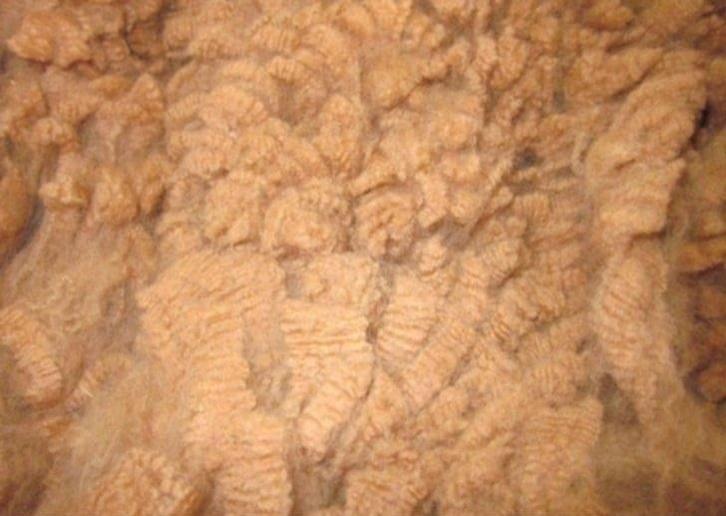 Alpacavachten, Hobby & Loisirs créatifs, Rouets & Filature, Enlèvement