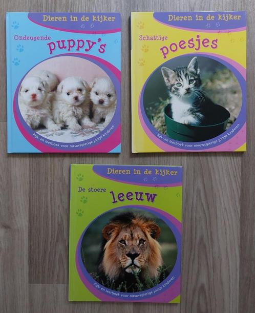 Dieren in de kijker - Puppy's, Poesjes, Leeuw, Boeken, Kinderboeken | Kleuters, Zo goed als nieuw, Fictie algemeen, Jongen of Meisje