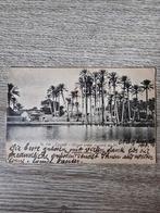 ansichtkaart Egypte 1905 ,gestempeld, Ophalen of Verzenden