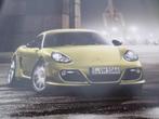 Porsche Cayman R Boek, Ophalen of Verzenden, Porsche