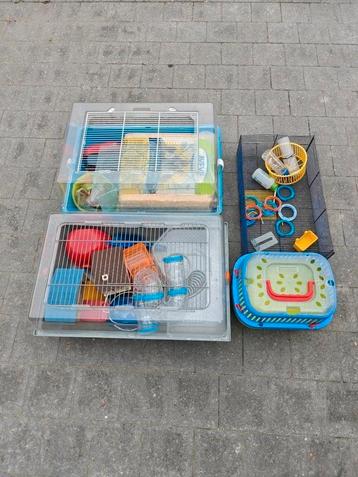 Hamsterkooien en toebehoren beschikbaar voor biedingen