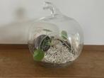 Pot de fleur/pot de plante décoratif pomme en verre transpar, Comme neuf, Enlèvement