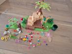 Playmobil Toverfee Alexia, Ophalen of Verzenden, Zo goed als nieuw