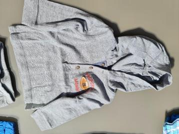 grijze pull, trui, hoody 12m/74cm beschikbaar voor biedingen
