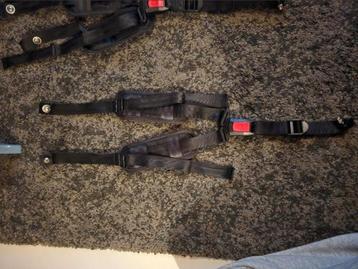 Babboe 3-puntsgordels! Voor- EN stuurzijde! NIEUW beschikbaar voor biedingen