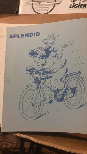 Retro schriftje Aurora - Splendid beschikbaar voor biedingen
