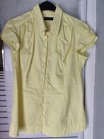 Blouse Only. Large, Ophalen of Verzenden, Zo goed als nieuw