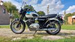 Triumph Bonneville T100, 2 cilinders, 900 cc, Particulier, Meer dan 35 kW