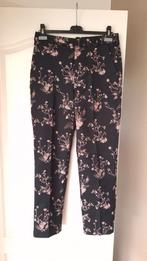 Kostuum broek scotch and Soda, Kleding | Dames, Maison scotch, Ophalen of Verzenden, Maat 38/40 (M), Roze