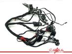 KABELBOOM BMW R nineT 2016-2021 (K23) (01-2016/12-2021), Gebruikt