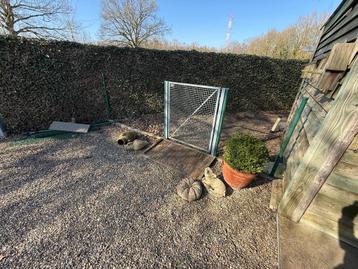 Tuinpoortje (Staal) beschikbaar voor biedingen