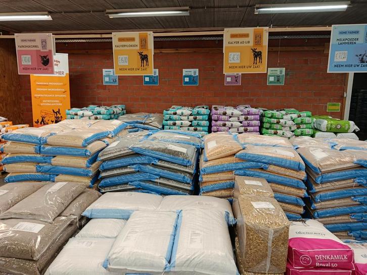 opening tuincentrum Mampaert Knesselare, Dieren en Toebehoren, Schapen, Geiten en Varkens