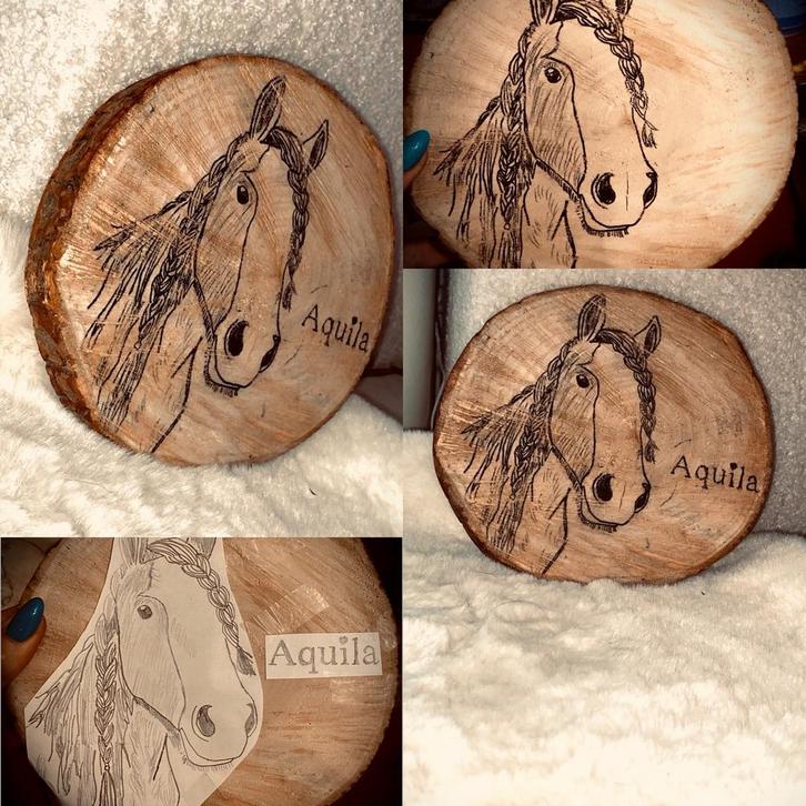 Uniek houten plankje – handgemaakt, Antiek en Kunst, Kunst | Overige Kunst, Ophalen of Verzenden