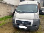 Fiat Ducato euro4, Diesel, Achat, Fiat, Entreprise