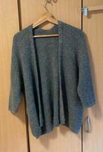 Grijs glitter golfje, Lola-liza, Verzenden, Zo goed als nieuw, Maat 36 (S)