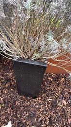 Bloembak, Tuin en Terras, Bloembakken en Plantenbakken, Ophalen, Kunststof, Gebruikt, Minder dan 60 cm