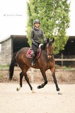 Leuke allround ruin te koop!, Gechipt, Ruin, 170 tot 175 cm, L