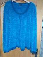 44  nieuw ongebruikt merk Accent, Accent, Blauw, Trui of Vest, Nieuw