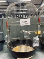 Vogelkooi Diva, Dieren en Toebehoren, Vogels | Hokken en Kooien, Ophalen, Nieuw, Aluminium, Vogelkooi