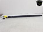 ACHTERKLEP MOTOR Ford Puma (|L1TBS404C84AA|2404605|), Gebruikt, Ford, Achterklep