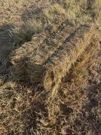 Hooi, Dieren en Toebehoren, Ophalen