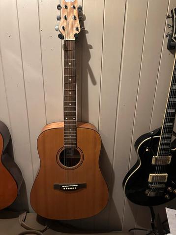 Akoestiche gitaar Ashton D20 beschikbaar voor biedingen