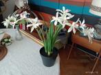 Orchidée artificielle plante fleur deco decoration interieur, Maison & Meubles, Accessoires pour la Maison | Plantes & Fleurs artificielles