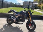 Honda MSX 125cc, Motoren, Motoren | Honda, 2 cilinders, 125 cc, Overig, 11 kW of minder