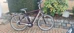 Electrische herenfiets, Fietsen en Brommers, Elektrische fietsen, Ophalen