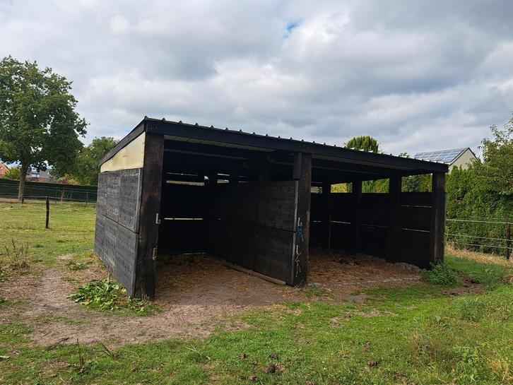weide te huur in Hofstade / Zemst, Dieren en Toebehoren, Stalling en Weidegang