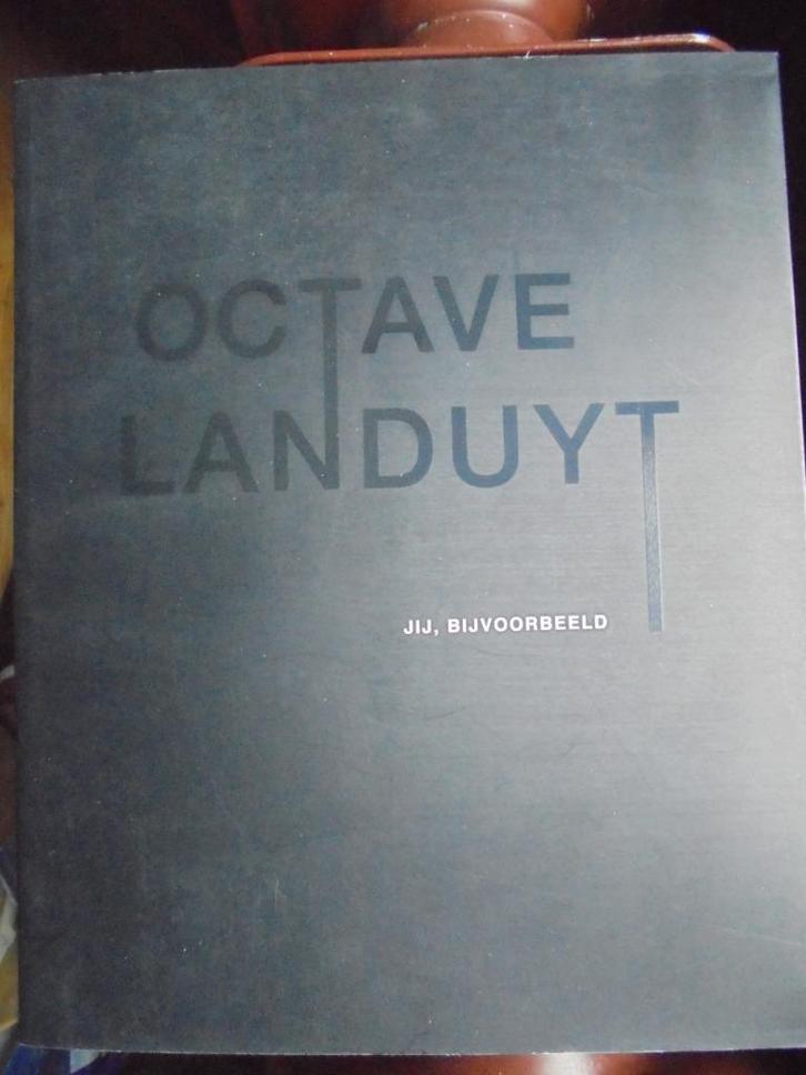 Octave Landuyt  5   Monografie, Boeken, Kunst en Cultuur | Beeldend, Nieuw, Beeldhouwkunst, Verzenden
