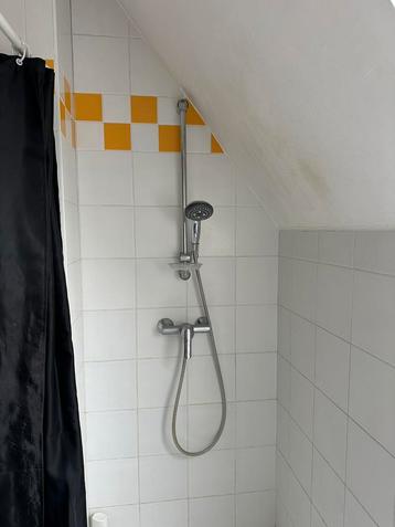 Douchekraan + stang + sproeier beschikbaar voor biedingen