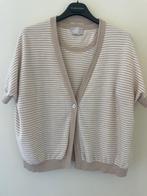Twinset, Kleding | Dames, Truien en Vesten, Hemisphere, Ophalen of Verzenden, Nieuw, Maat 36 (S)