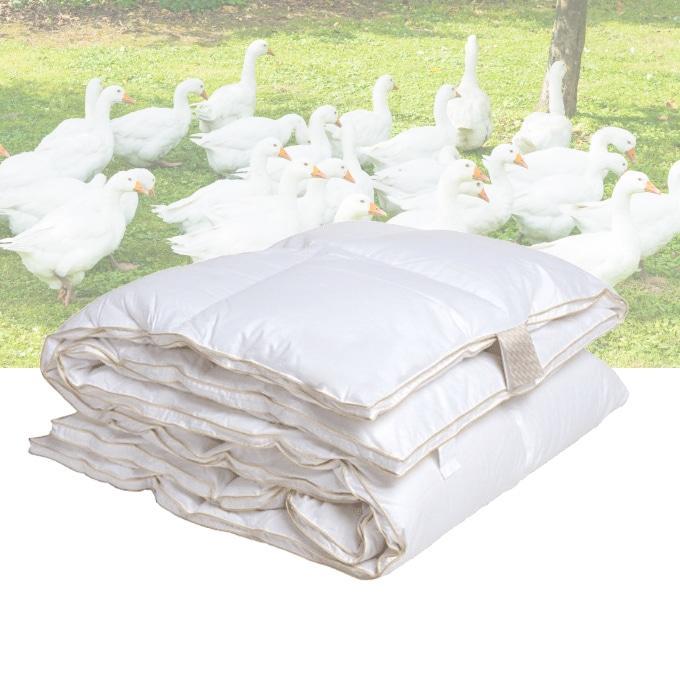 4 Seizoenen dekbed - 90% ganzendons - 240/200, Caravans en Kamperen, Caravanaccessoires